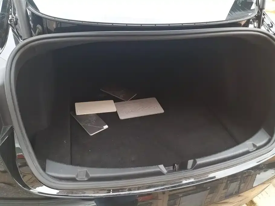 Tesla Model 3 2021 из CN, фото 4