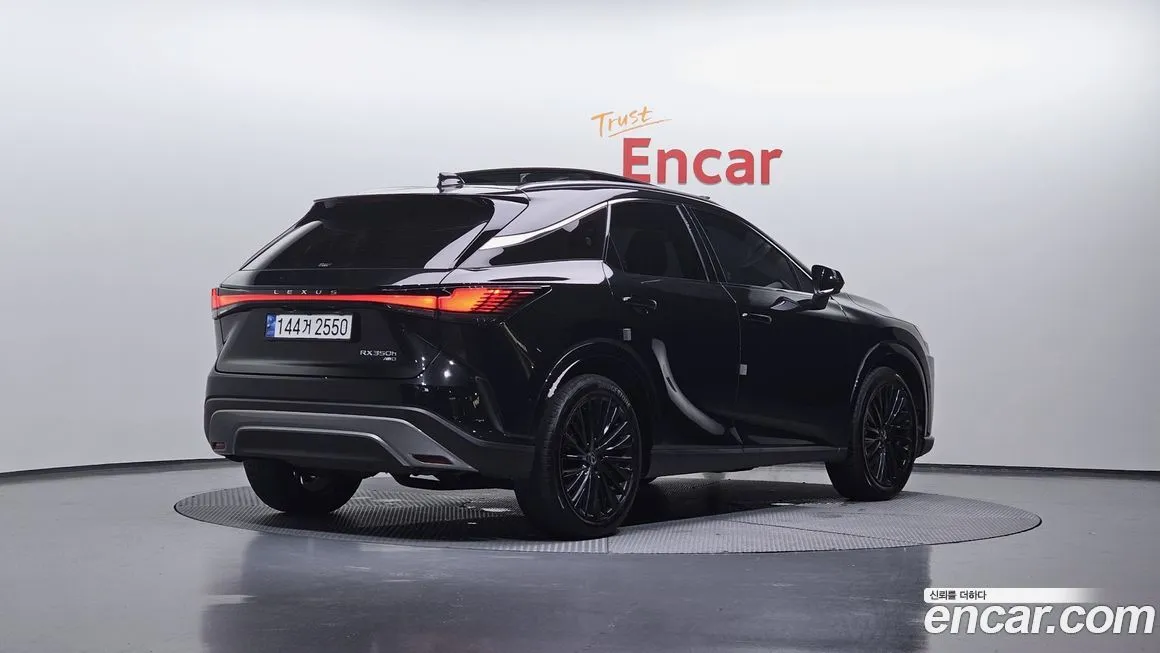 Lexus RX 2023 из KR, фото 2