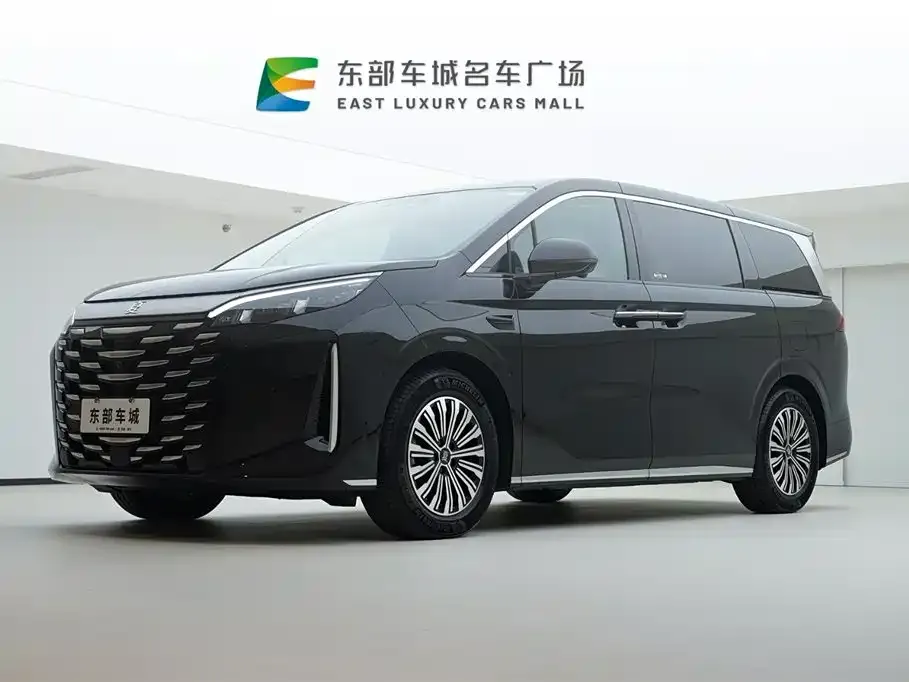 BYD Xia 2025 из CN, фото 1