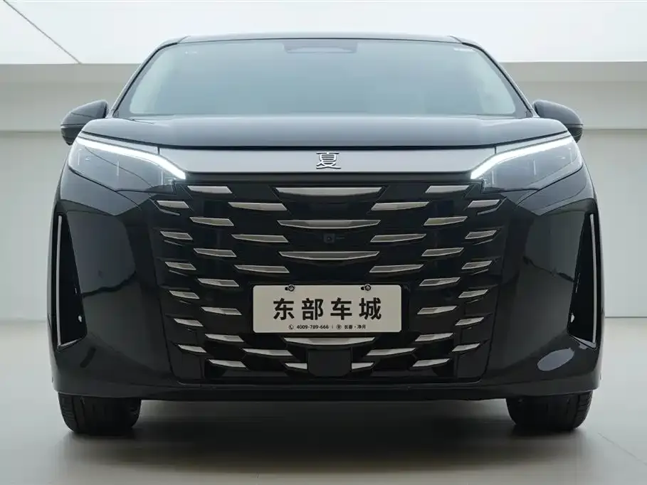 BYD Xia 2025 из CN, фото 2