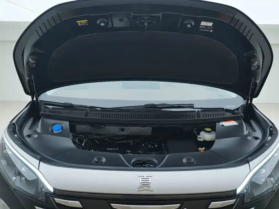 BYD Xia 2025 из CN, фото 7