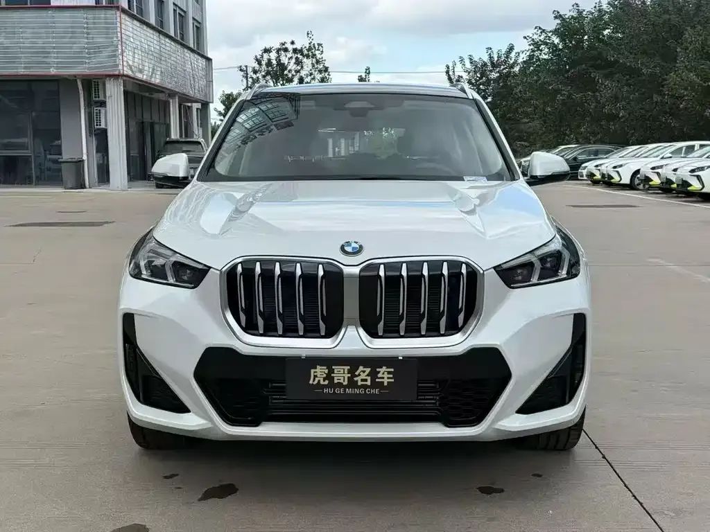 BMW X1 2024 из CN, фото 2