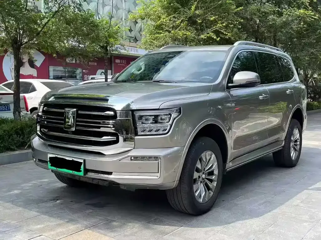 Tank 500 New Energy 2024 из CN, фото 2