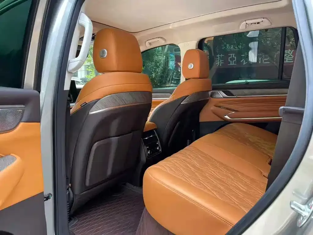 Tank 500 New Energy 2024 из CN, фото 5