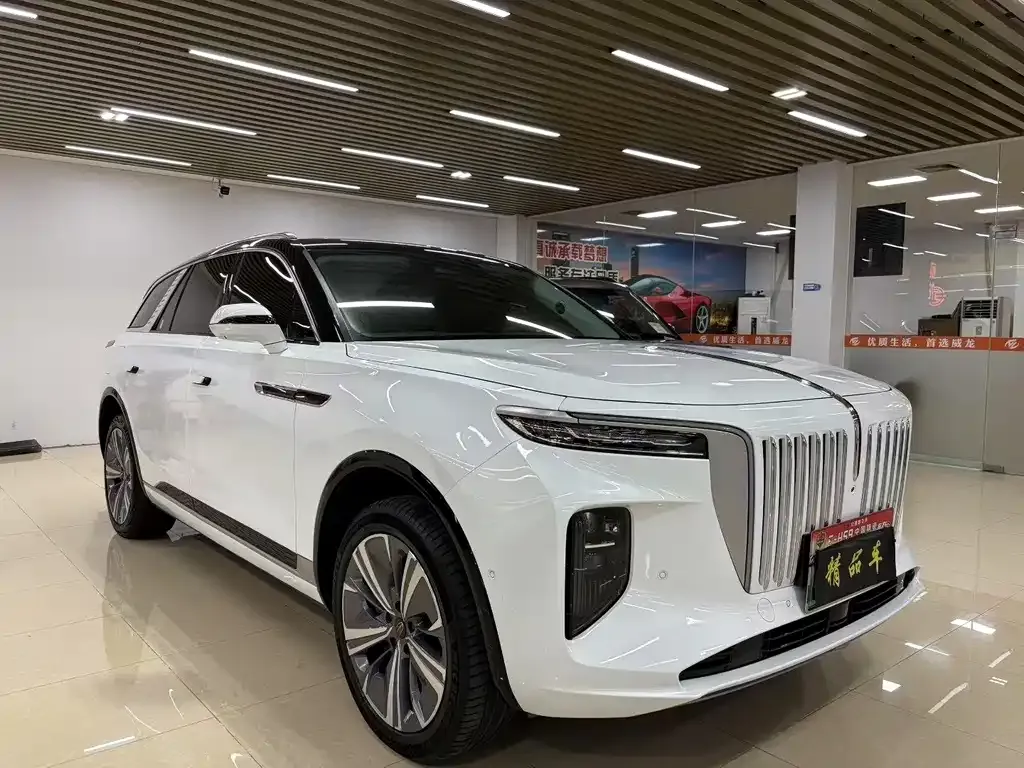 Hongqi E-HS9 2021 из CN, фото 1