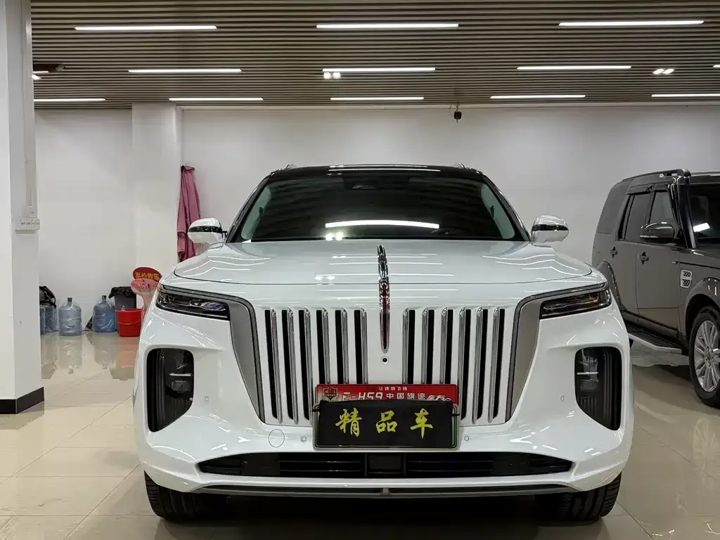 Hongqi E-HS9 2021 из CN, фото 2