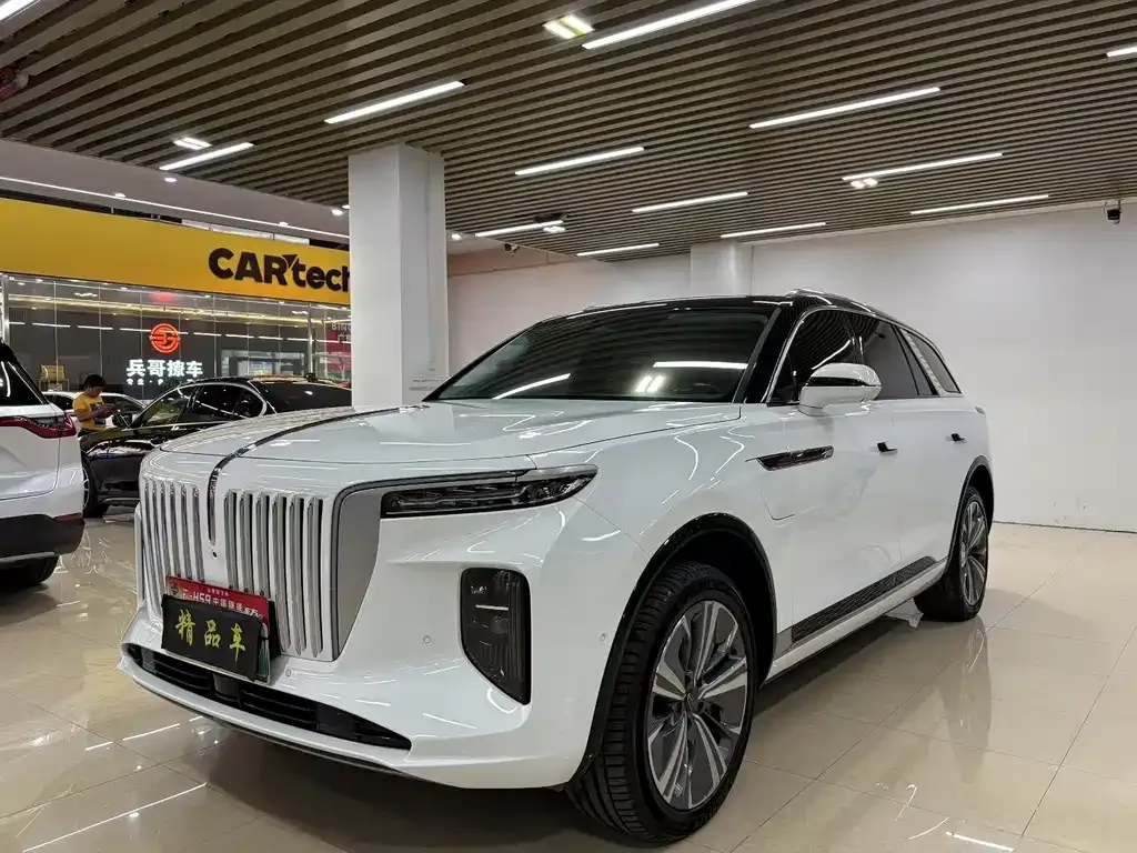 Hongqi E-HS9 2021 из CN, фото 3