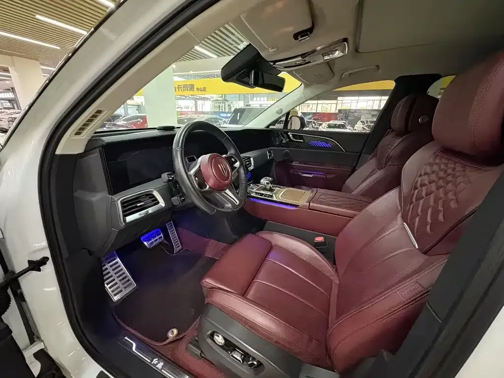Hongqi E-HS9 2021 из CN, фото 4