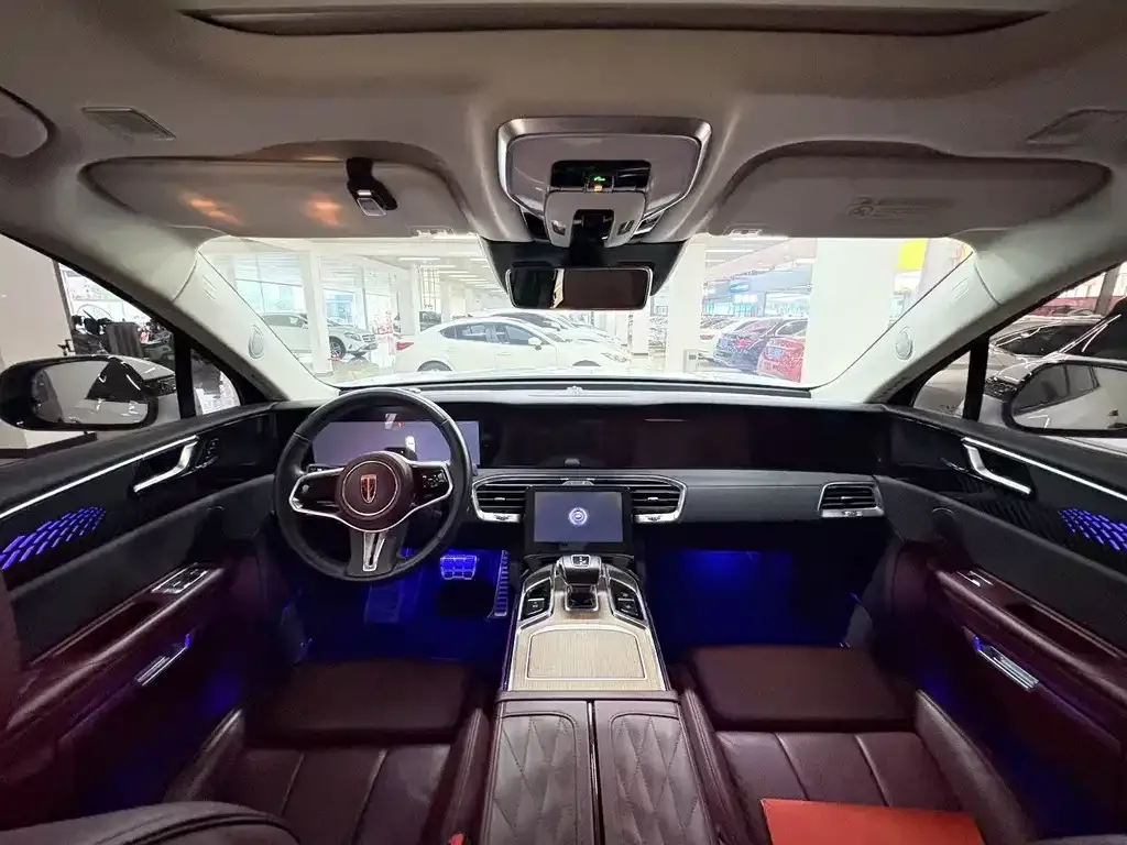Hongqi E-HS9 2021 из CN, фото 5