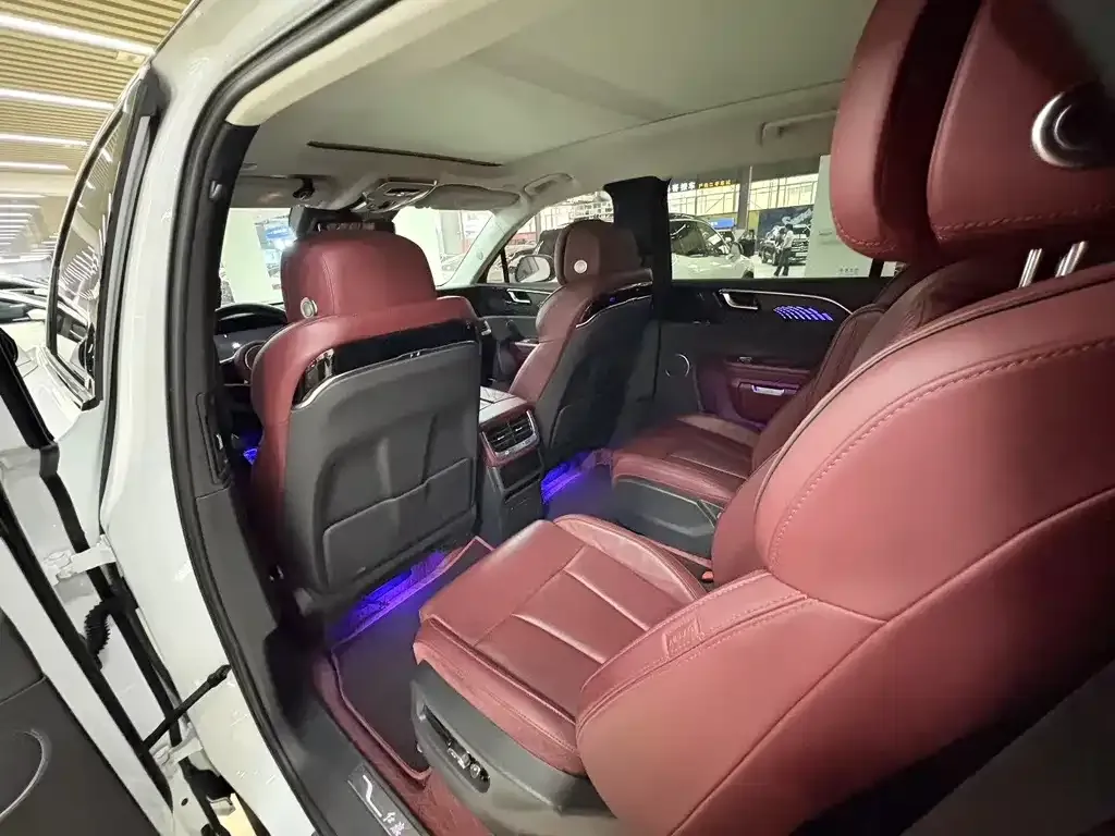 Hongqi E-HS9 2021 из CN, фото 6