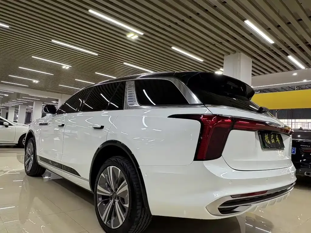 Hongqi E-HS9 2021 из CN, фото 7