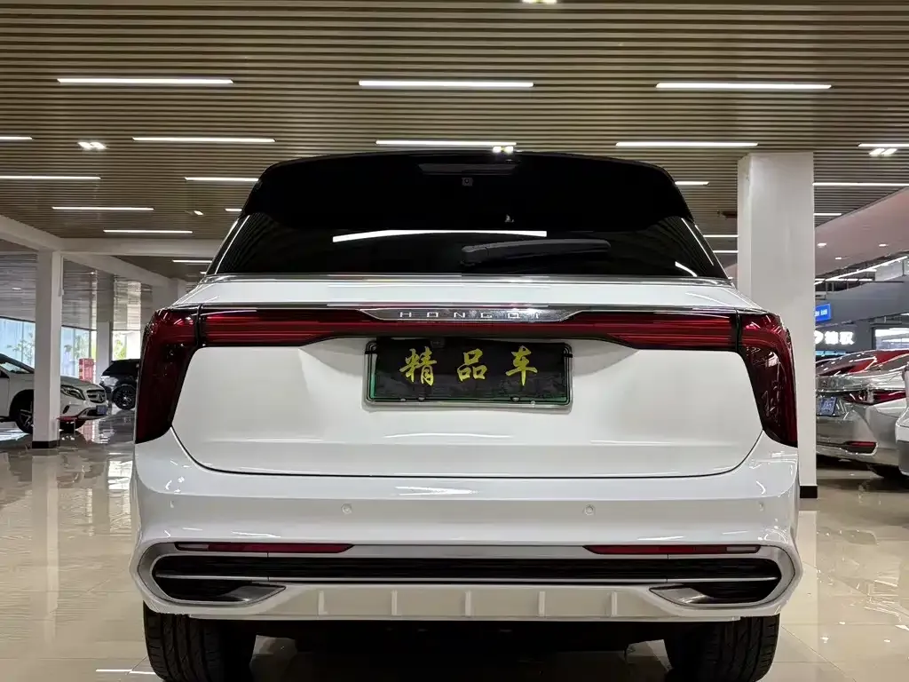 Hongqi E-HS9 2021 из CN, фото 8