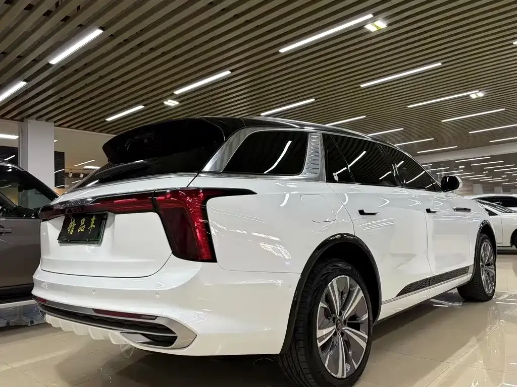 Hongqi E-HS9 2021 из CN, фото 9