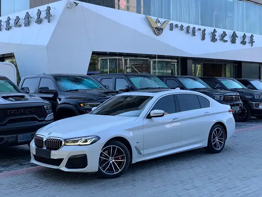 BMW 5 Series 2021 из CN, фото 1