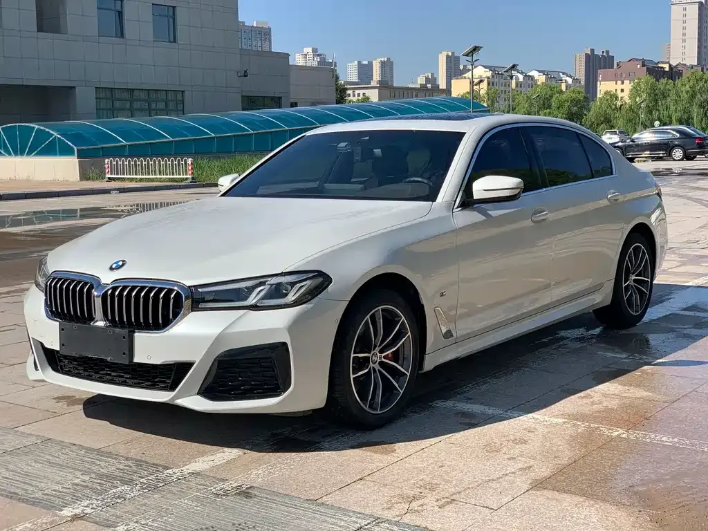 BMW 5 Series 2021 из CN, фото 2