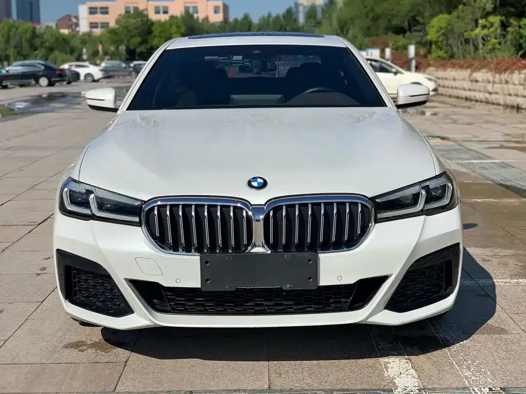 BMW 5 Series 2021 из CN, фото 3