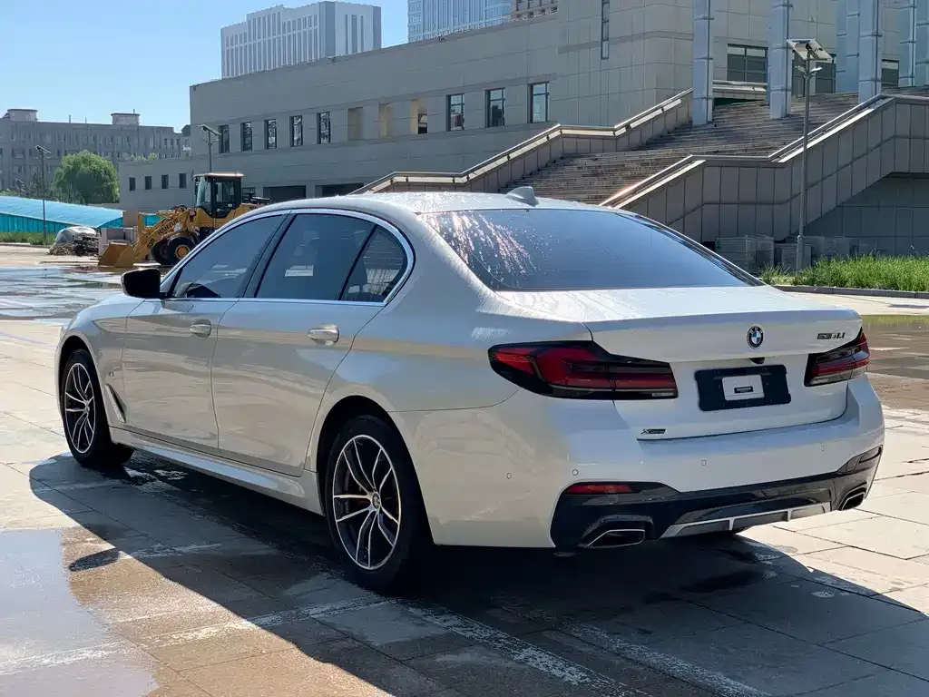 BMW 5 Series 2021 из CN, фото 4