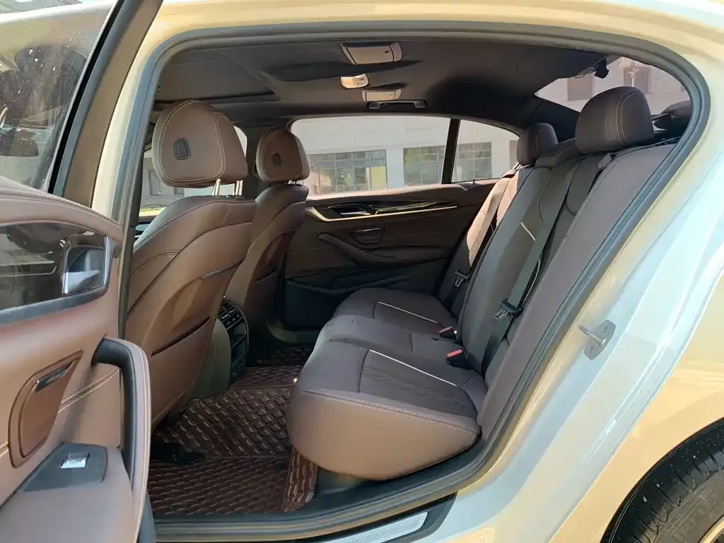 BMW 5 Series 2021 из CN, фото 5