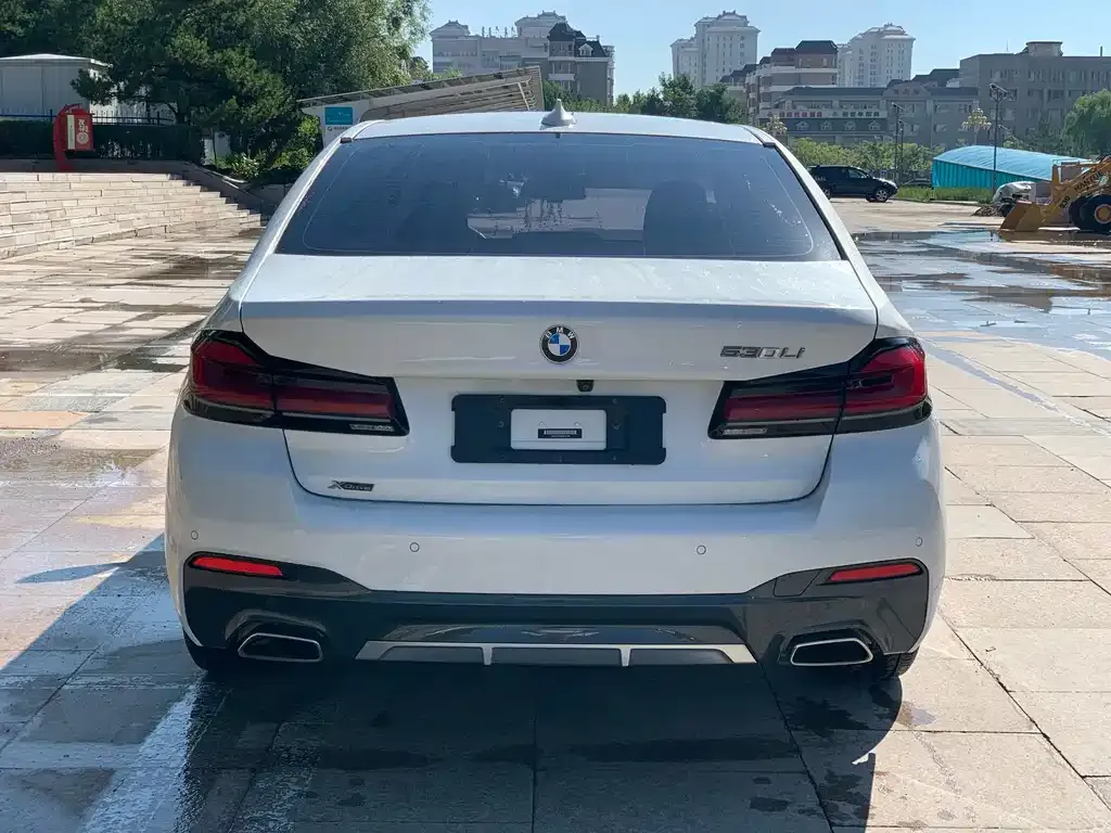 BMW 5 Series 2021 из CN, фото 6