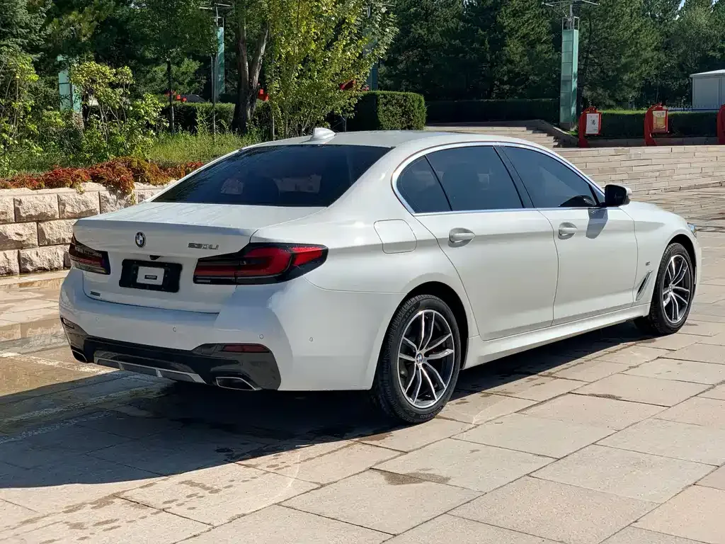 BMW 5 Series 2021 из CN, фото 7