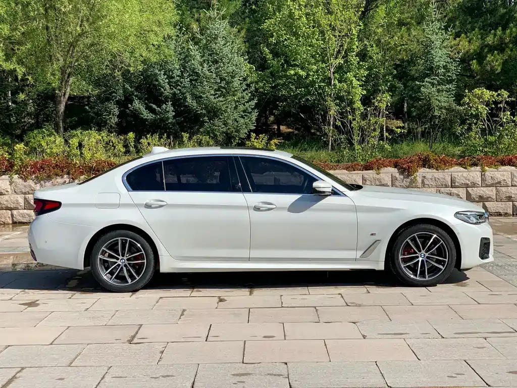 BMW 5 Series 2021 из CN, фото 8