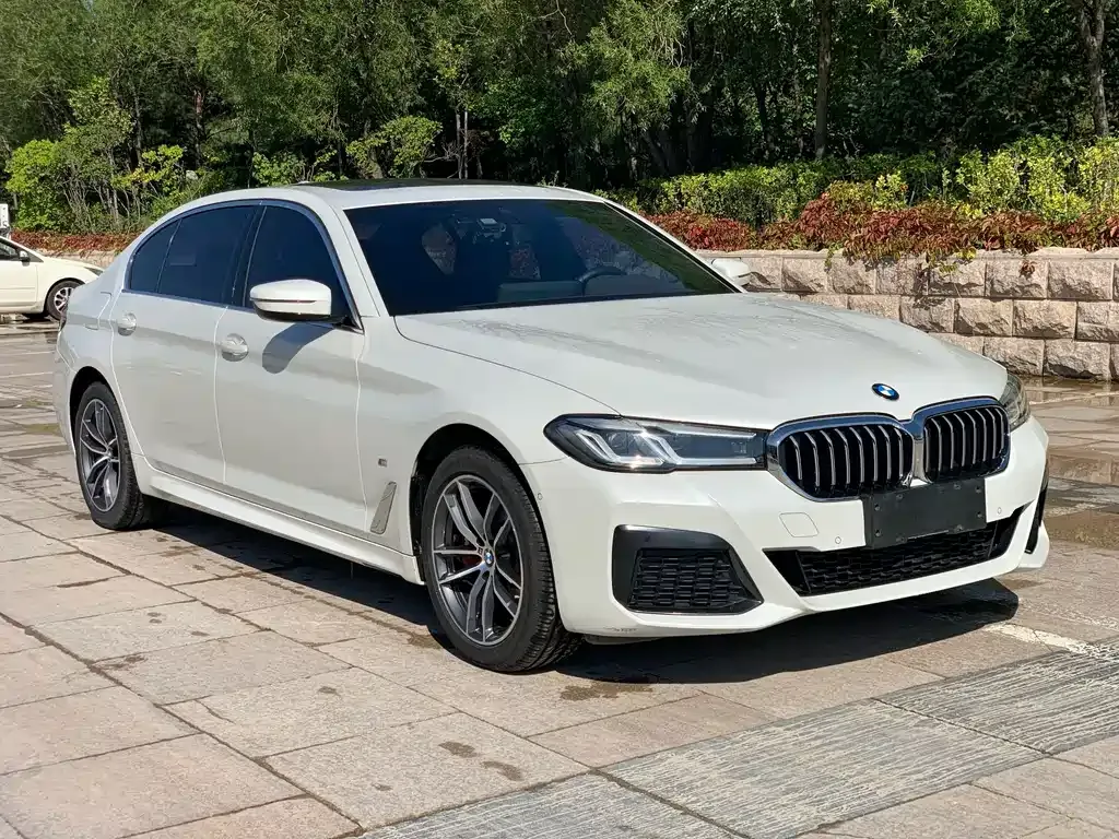 BMW 5 Series 2021 из CN, фото 9