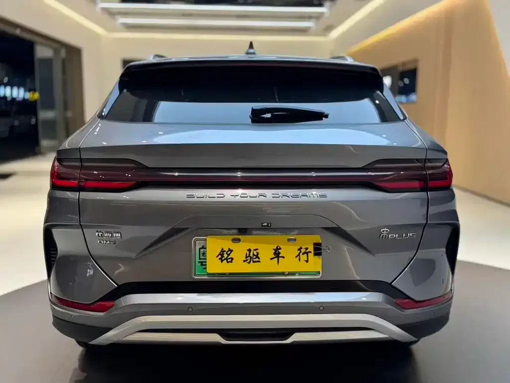 BYD PLUS New Energy 2024 из CN, фото 5