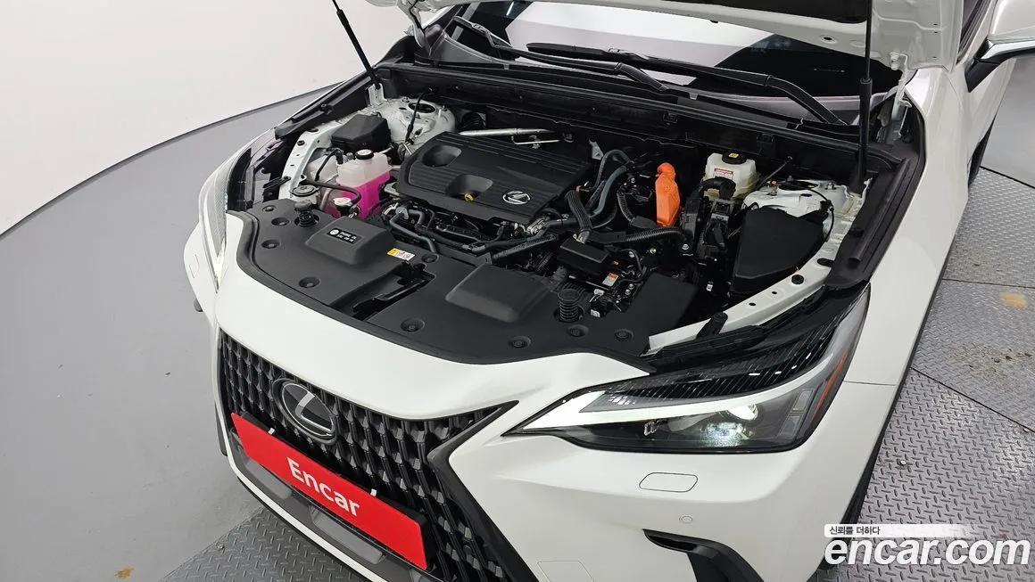 Lexus NX 2025 из KR, фото 6