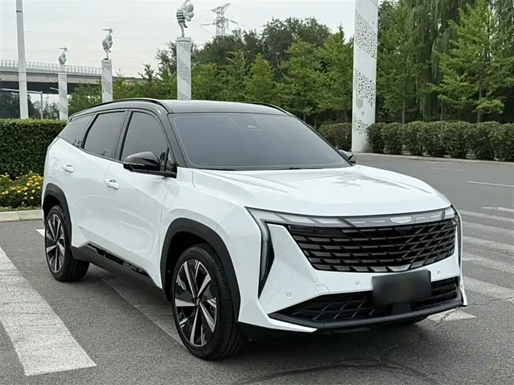 [object Object] Boyue L 2024 из CN, фото 10