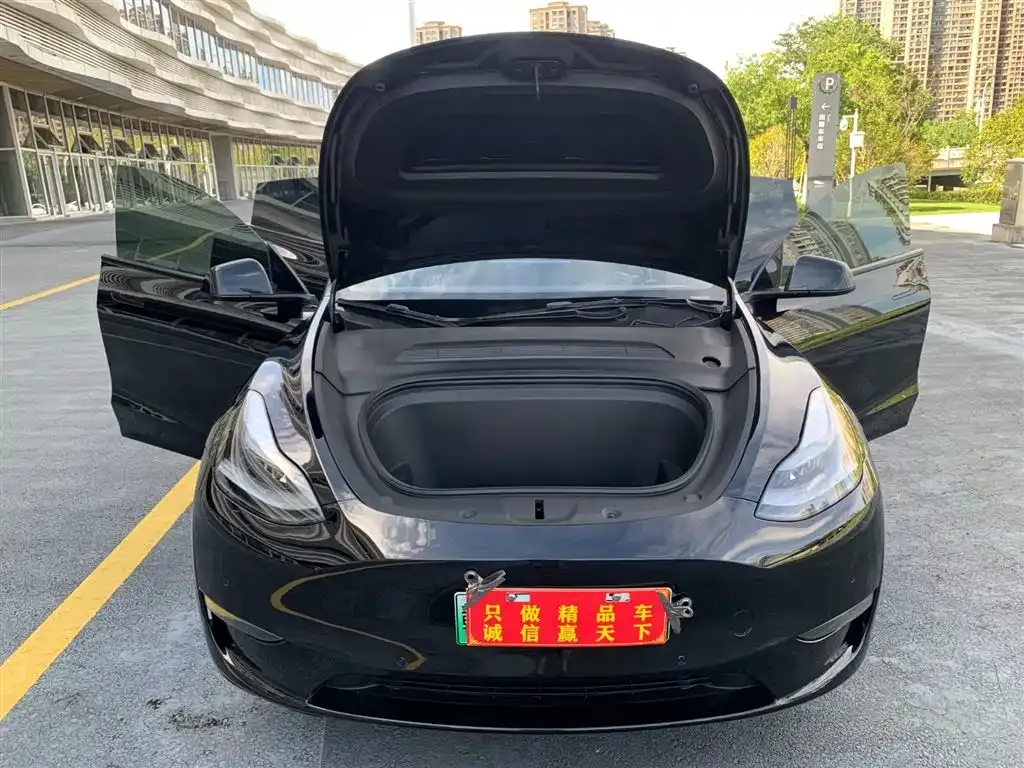 Tesla Model Y — фото 8