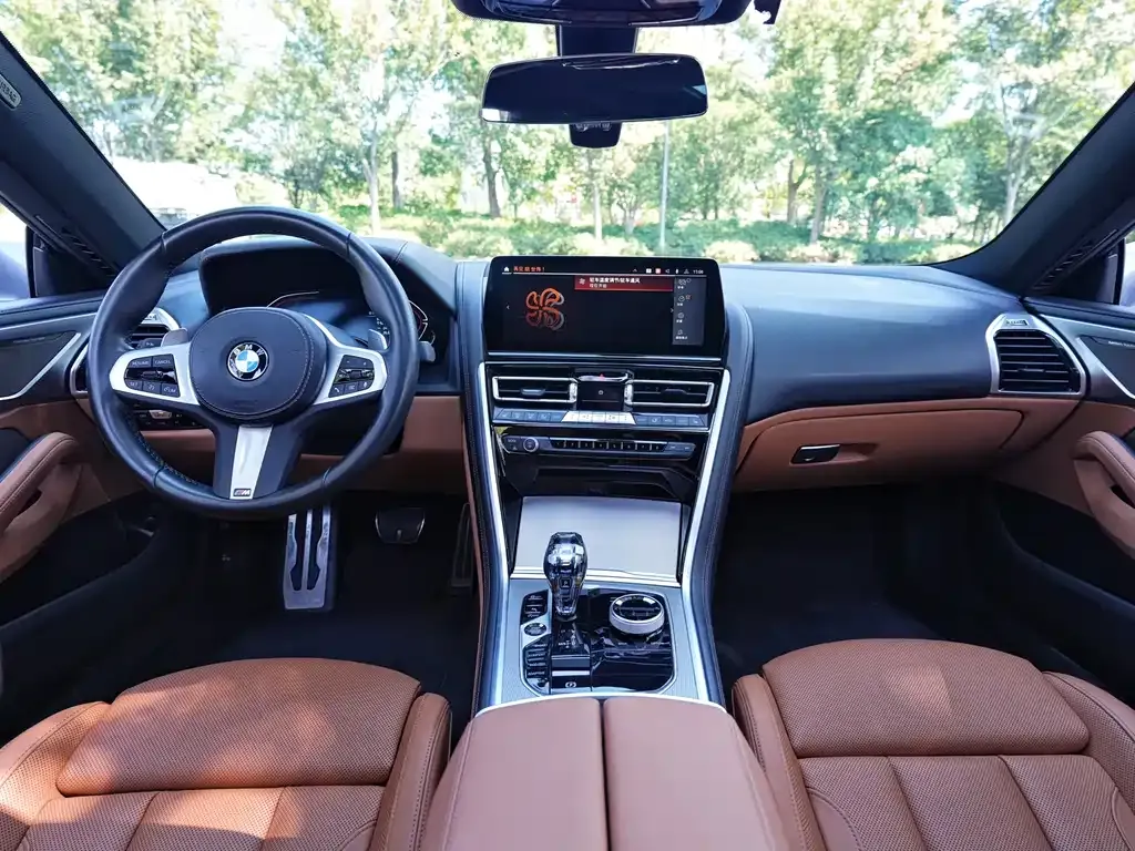 BMW 8 Series 2023 из CN, фото 10
