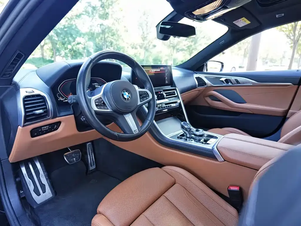 BMW 8 Series 2023 из CN, фото 6