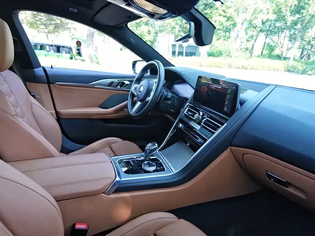 BMW 8 Series 2023 из CN, фото 9