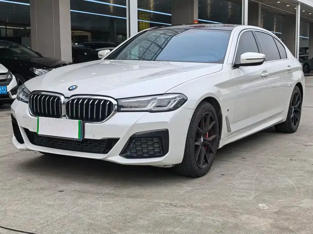 BMW 5 Series 2021 из CN, фото 1