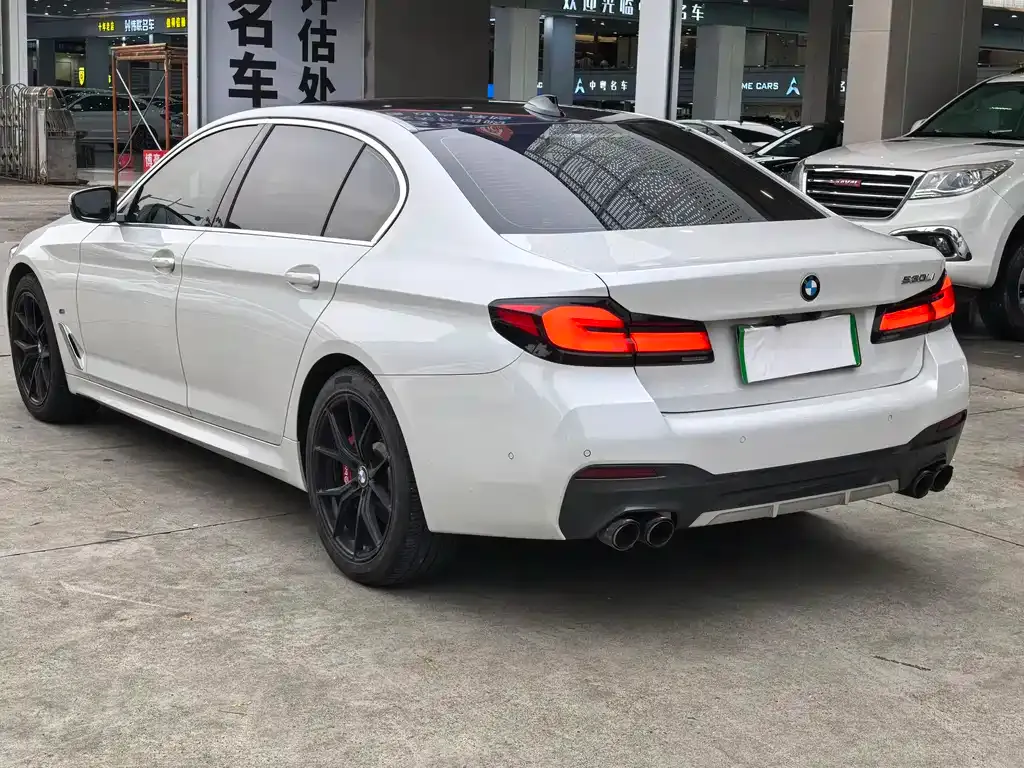 BMW 5 Series 2021 из CN, фото 10