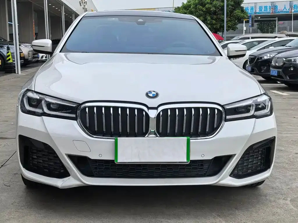BMW 5 Series 2021 из CN, фото 2