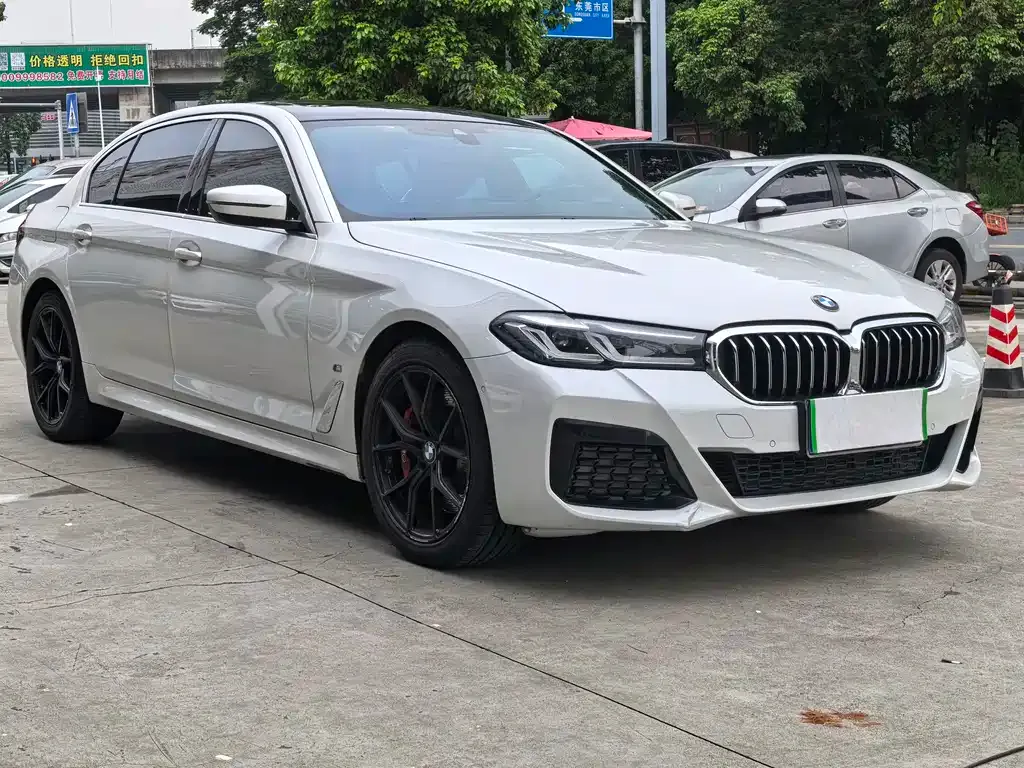BMW 5 Series 2021 из CN, фото 3