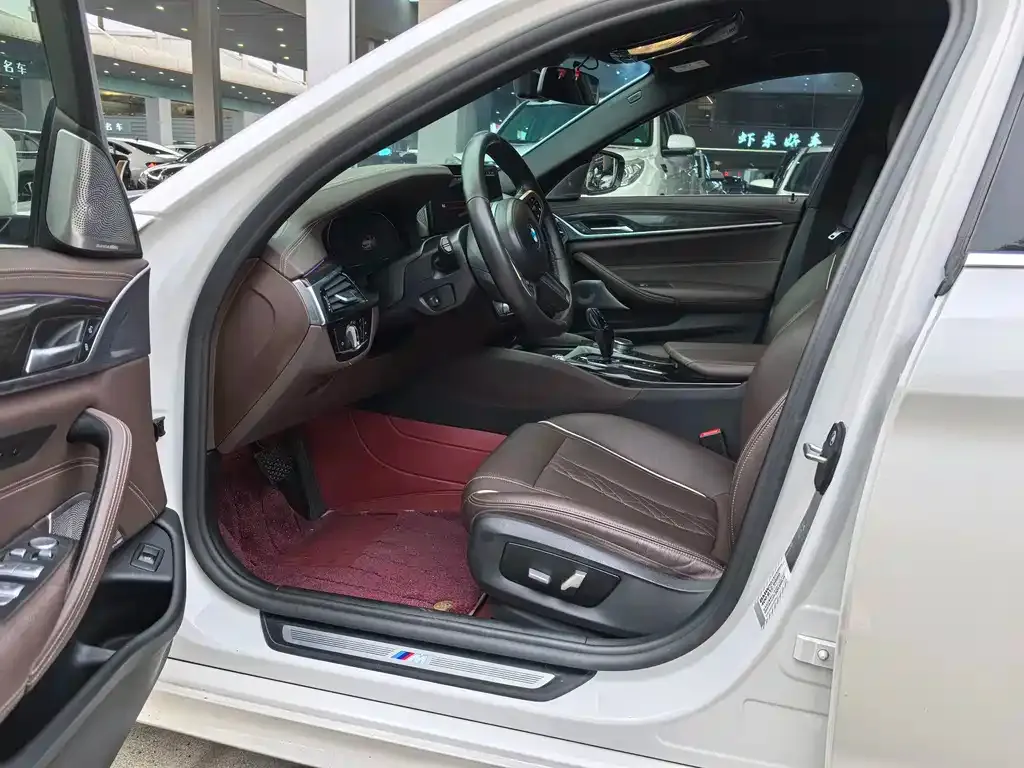 BMW 5 Series 2021 из CN, фото 4