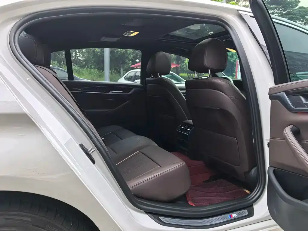 BMW 5 Series 2021 из CN, фото 8