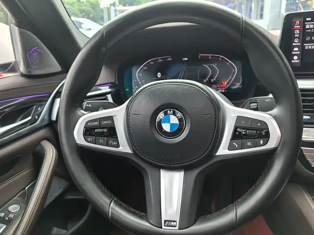 BMW 5 Series 2021 из CN, фото 9
