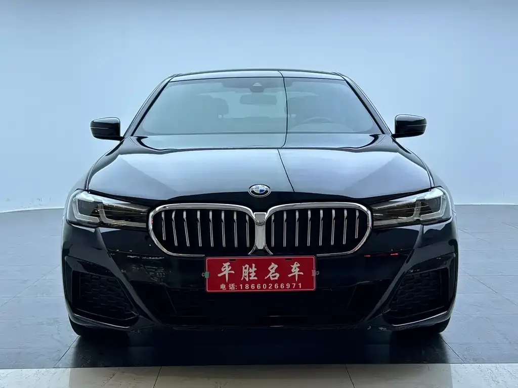 BMW 5 Series 2023 из CN, фото 3