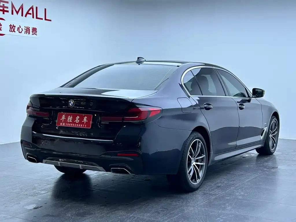 BMW 5 Series 2023 из CN, фото 6