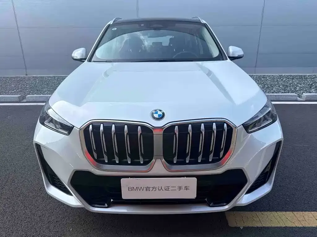 BMW X1 2025 из CN, фото 2
