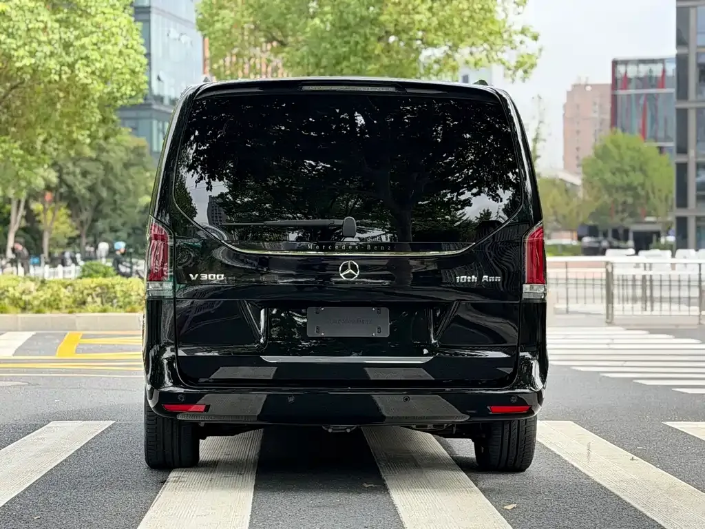 Mercedes-Benz V-Class 2025 из CN, фото 5