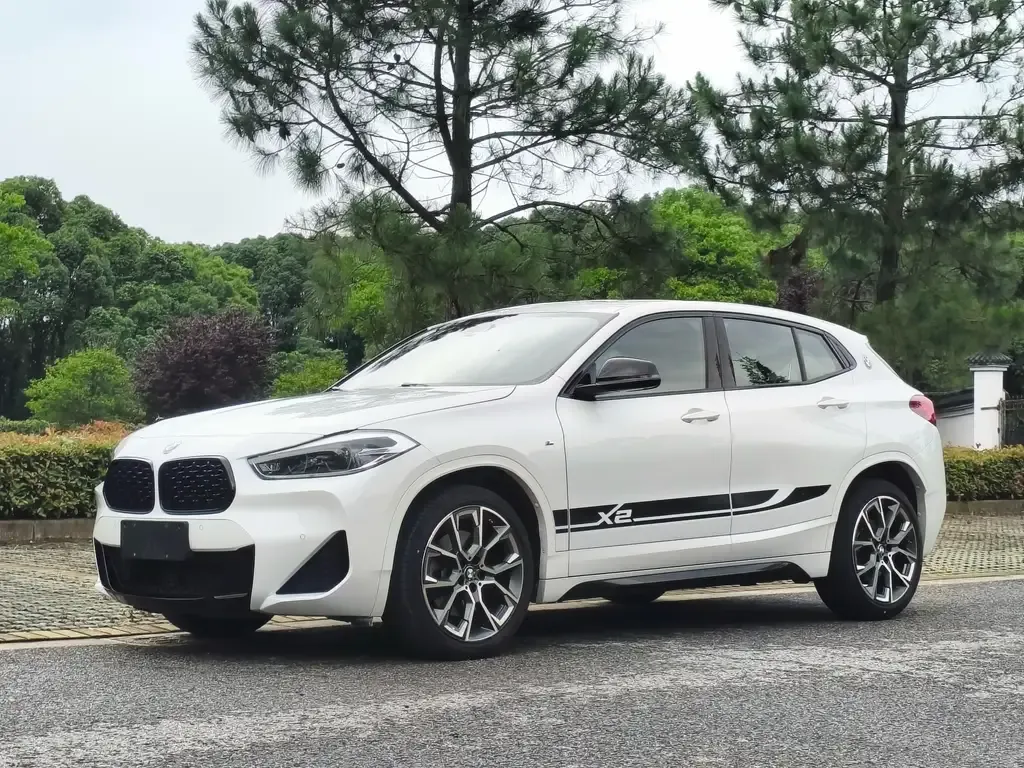 BMW X2 2022 из CN, фото 1