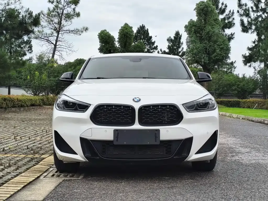 BMW X2 2022 из CN, фото 2