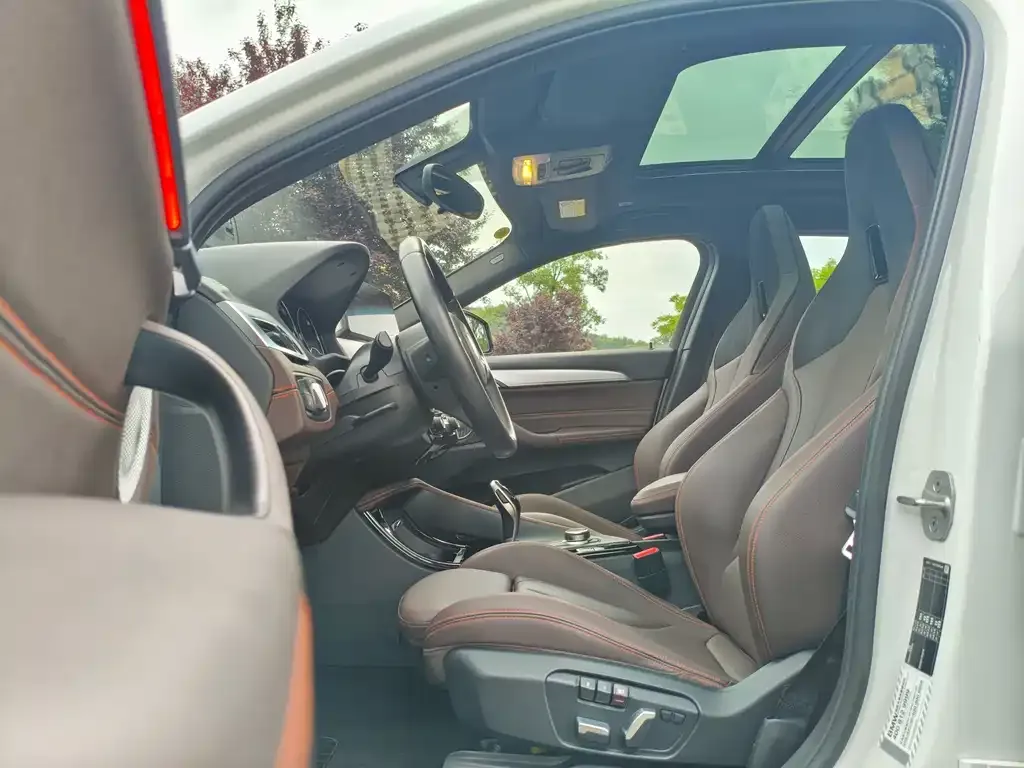 BMW X2 2022 из CN, фото 4