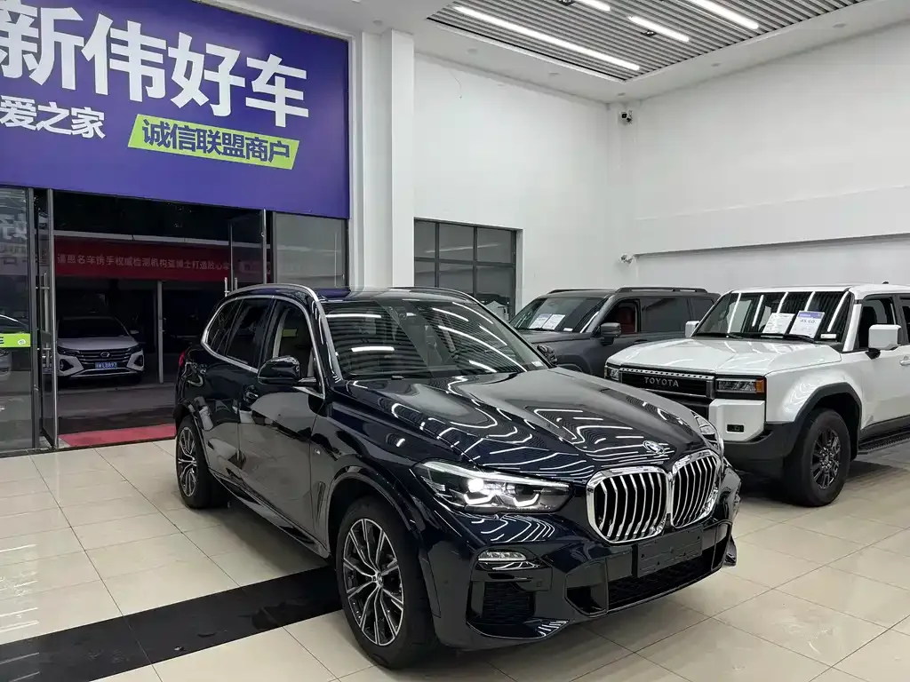 [object Object] X5 (Import) 2021 из CN, фото 3