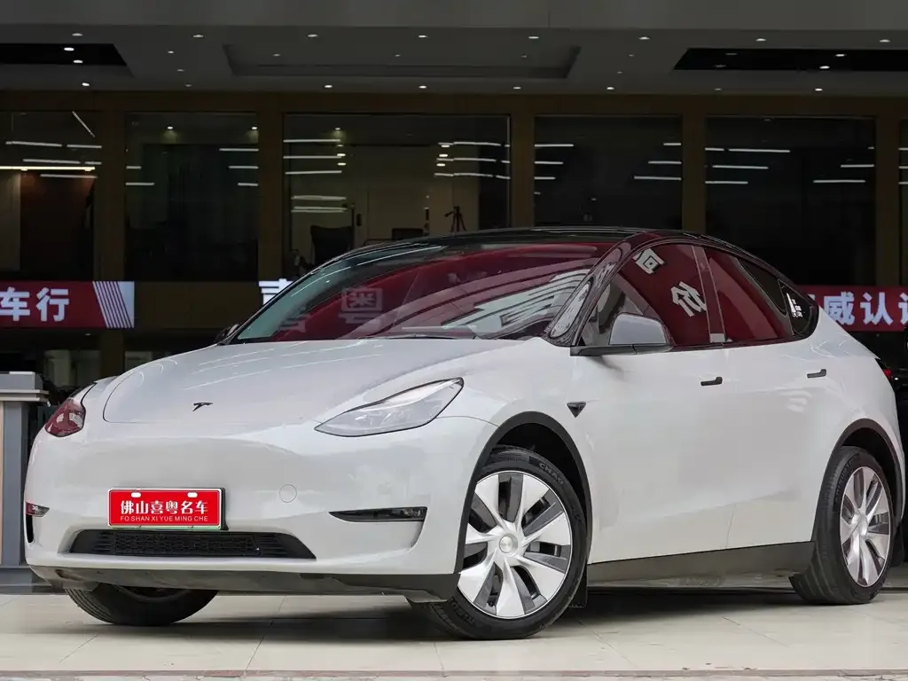 Tesla Model Y 2021 из CN, фото 1
