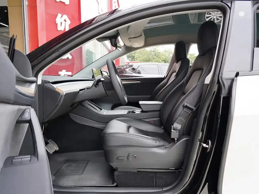 Tesla Model Y 2021 из CN, фото 5